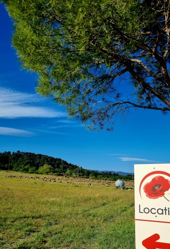 Grand Gite Groupe Vaucluse 84 Retrouvailles en pleine nature provençale 