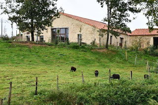 Grand Gite Groupe Vendée 85 Grand gîte au coeur de la campagne vendéenne