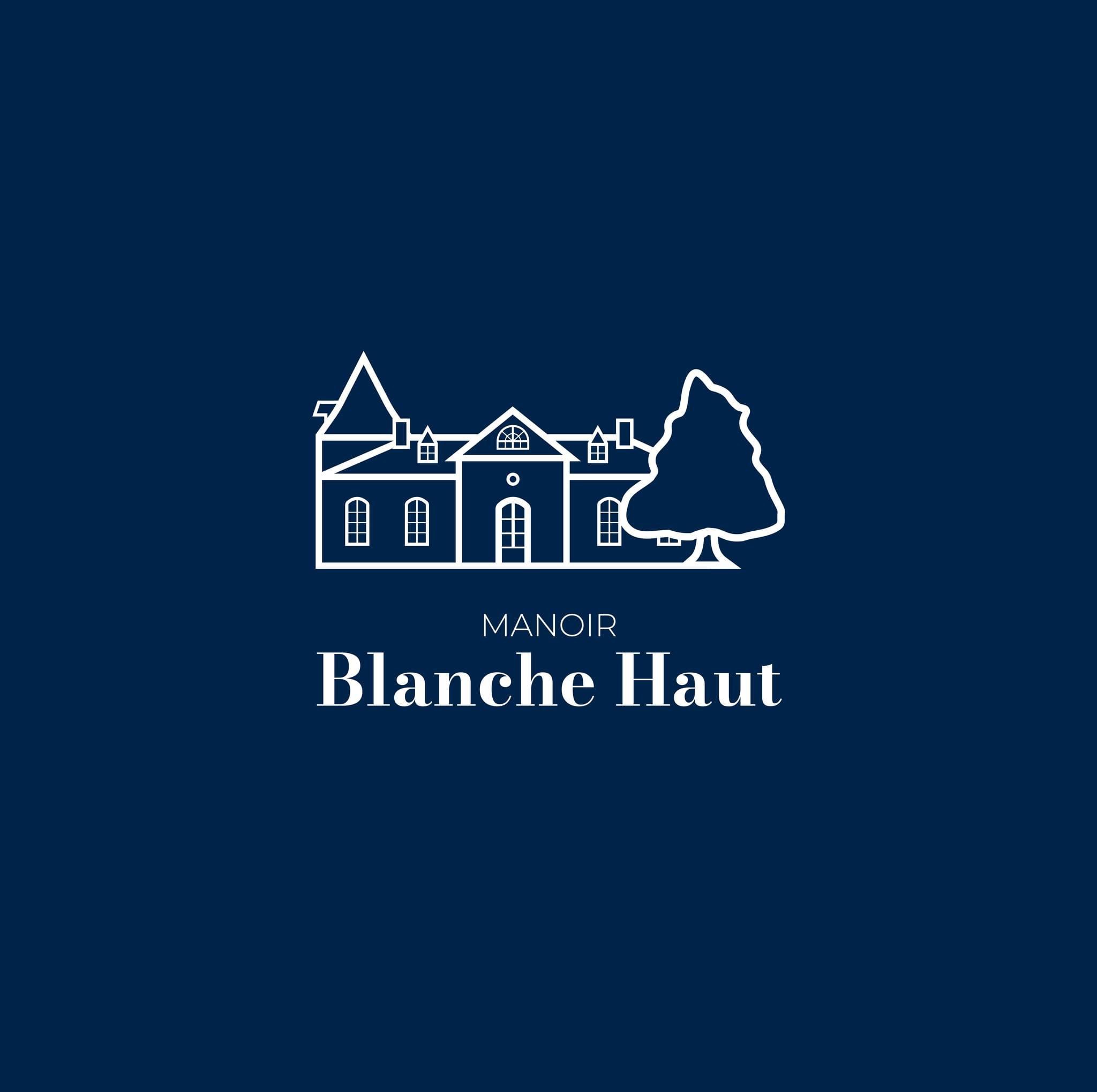 Grand Gite Groupe Lot-et-Garonne 47 Manoir Blanche Haut