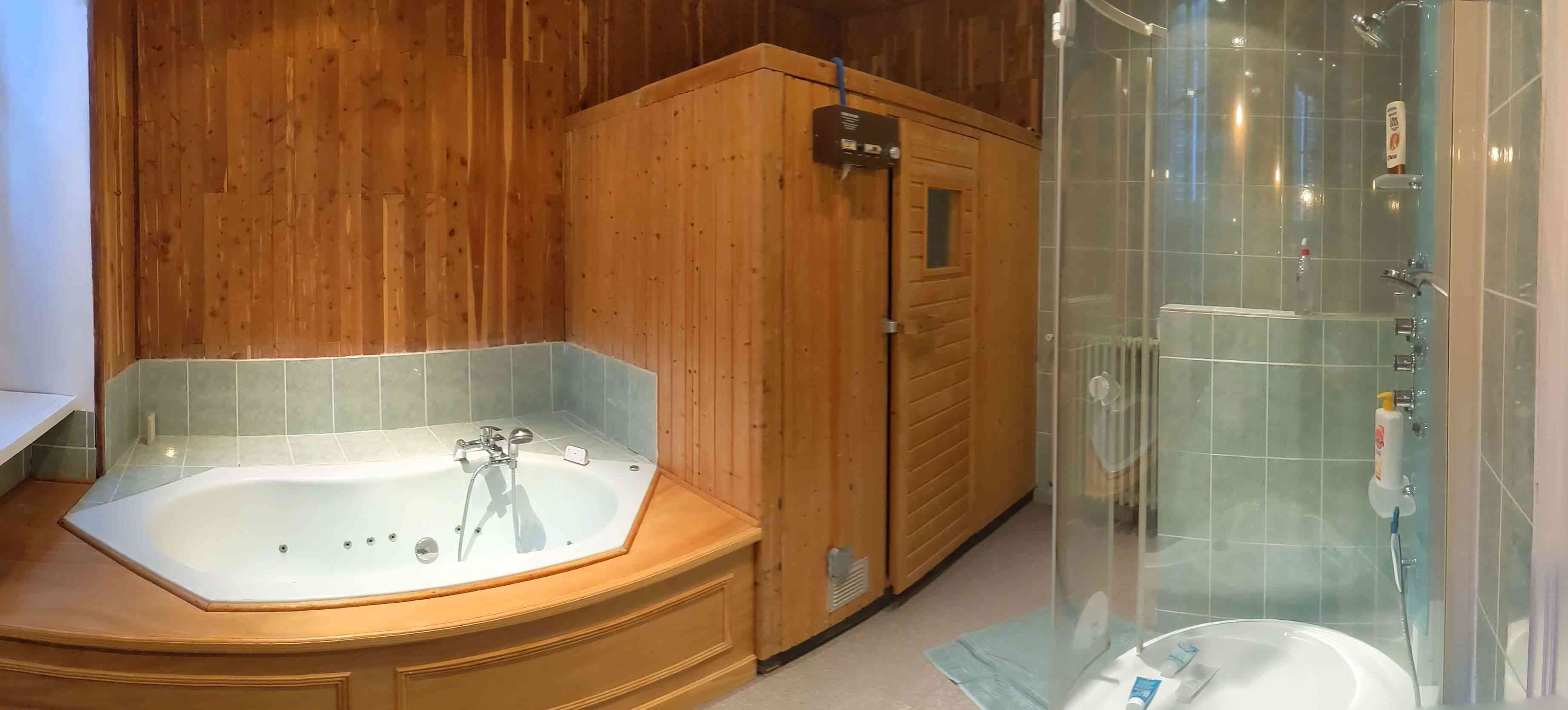 Grand Gite Groupe Vienne 86 maison de bourg ancienne, piscine, sauna...