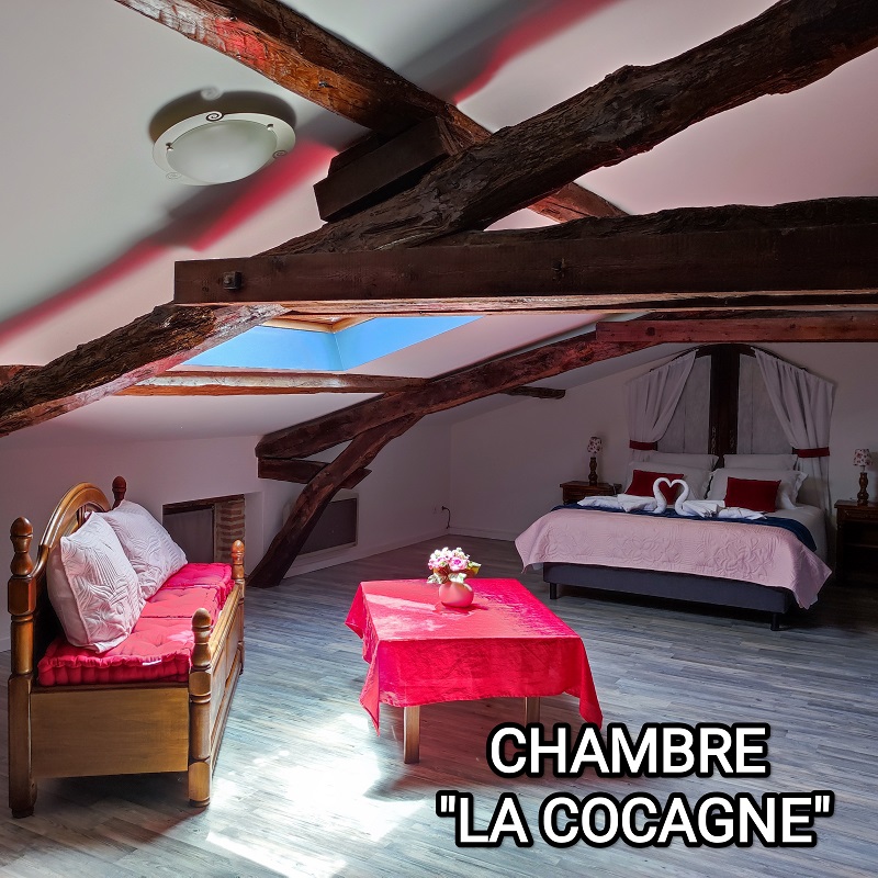 Grand Gite Groupe Tarn 81 FLEUR DE PASTEL, GÎTE DE CARACTERE 4 EPIS
