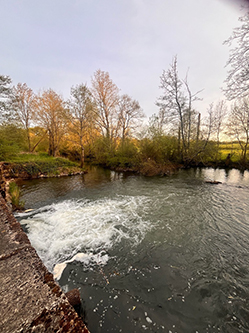 Grand Gite Groupe Vienne 86 Moulin du 17ème siècle pour votre évènement