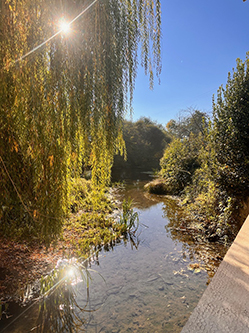 Grand Gite Groupe Vienne 86 Moulin du 17ème siècle pour votre évènement