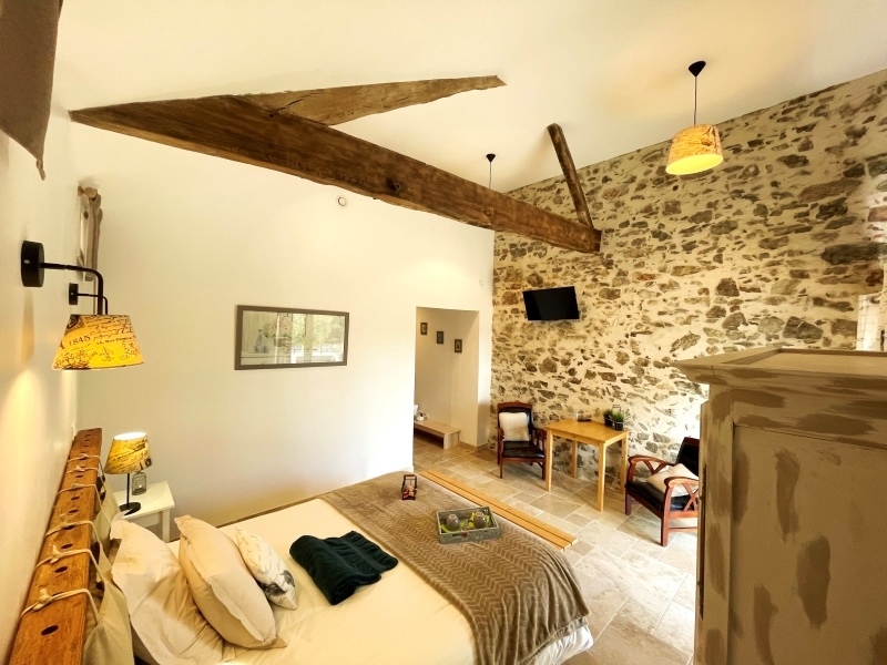 Grand Gite Groupe Maine-et-Loire 49 Gîte de "la Grange" - La Petite Félixière - 49450