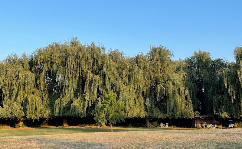 Grand Gite Groupe Loiret 45 Les Gîtes de Cormenin 40 couchages dans le Loiret